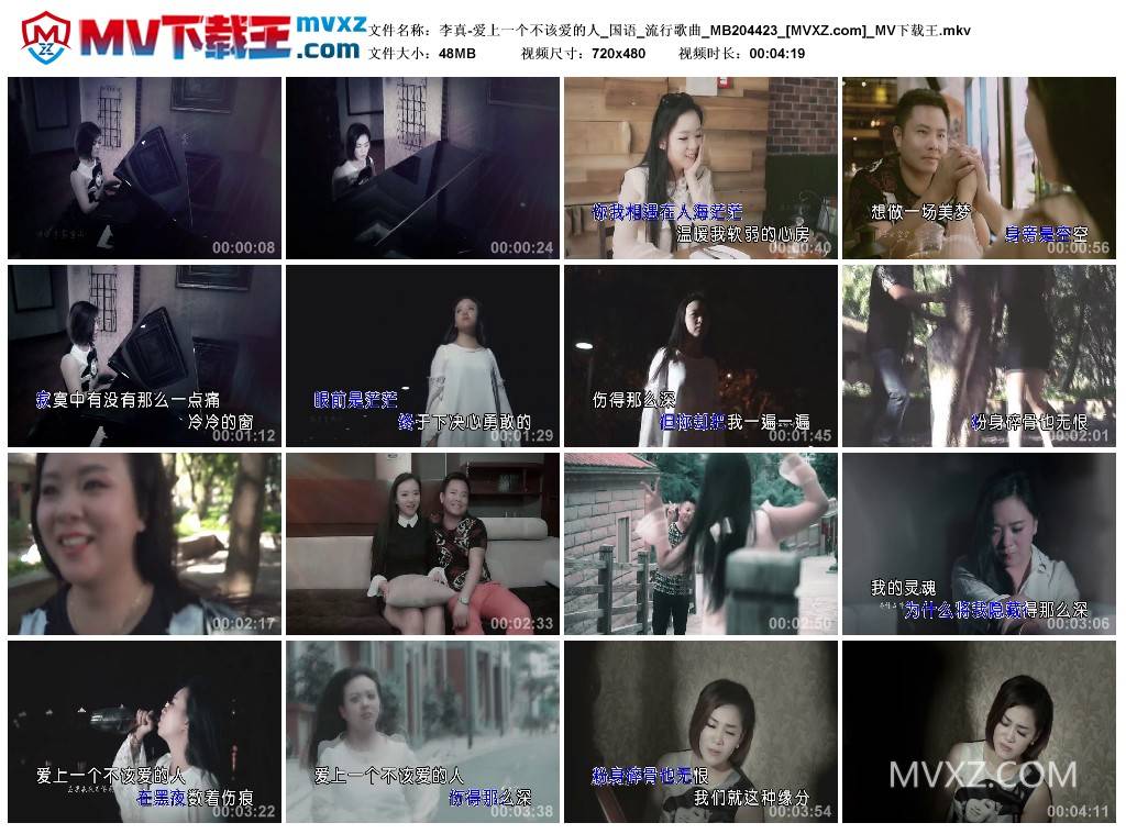 李真-爱上一个不该爱的人_国语_流行歌曲_MB204423